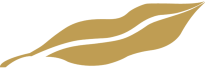 solo logo